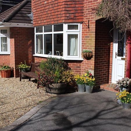 Honey Lodge Broadstone Zewnętrze zdjęcie